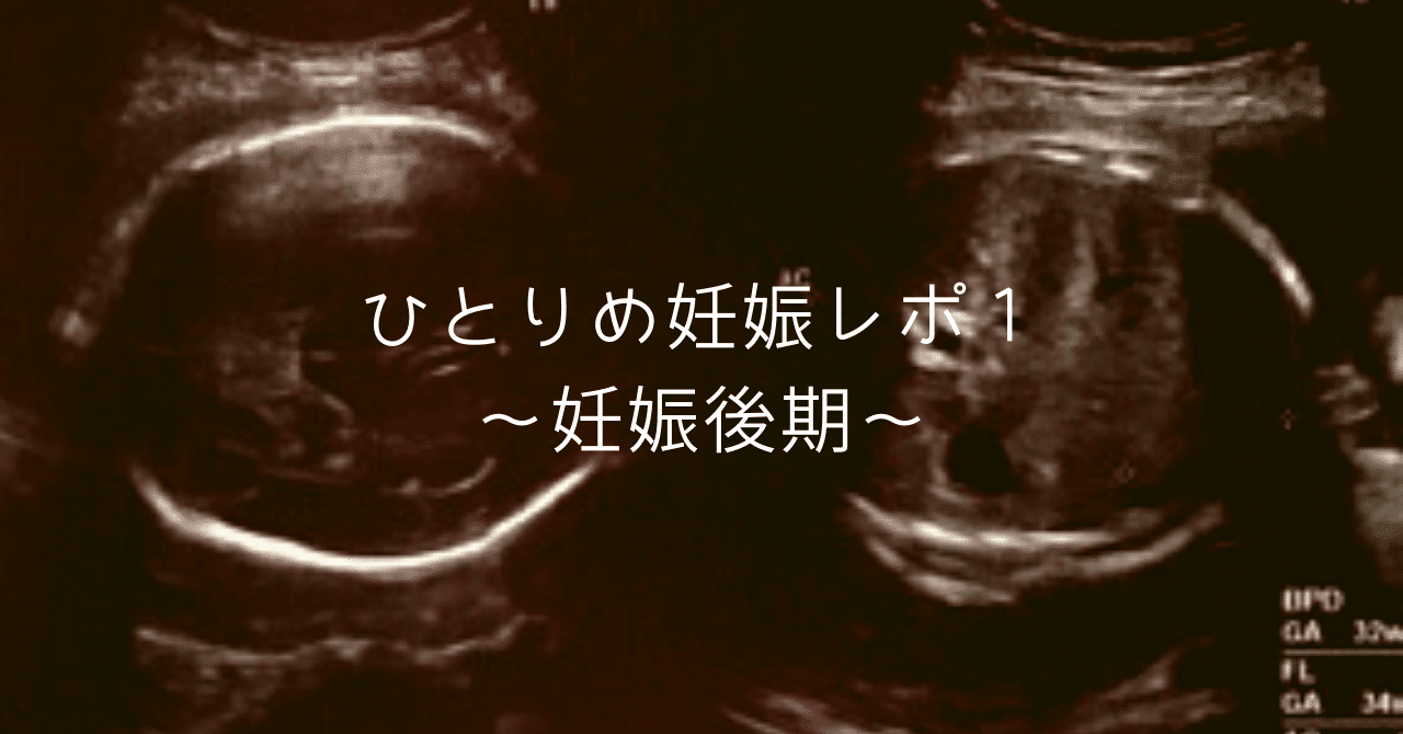 我が家の一人目妊娠レポ3 妊娠後期 ヒナ Note 我が家の一人目妊娠レポ3 妊娠後期 ヒナ Note