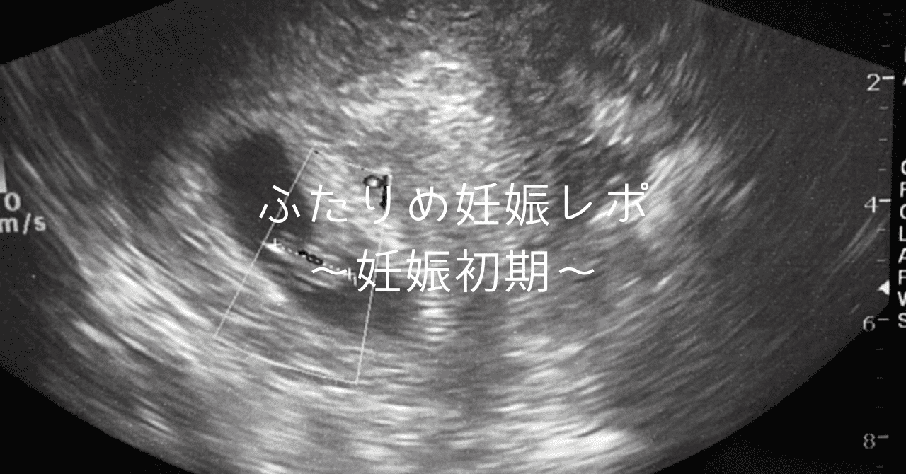 我が家の二人目妊娠レポ 妊娠初期 ヒナ Note