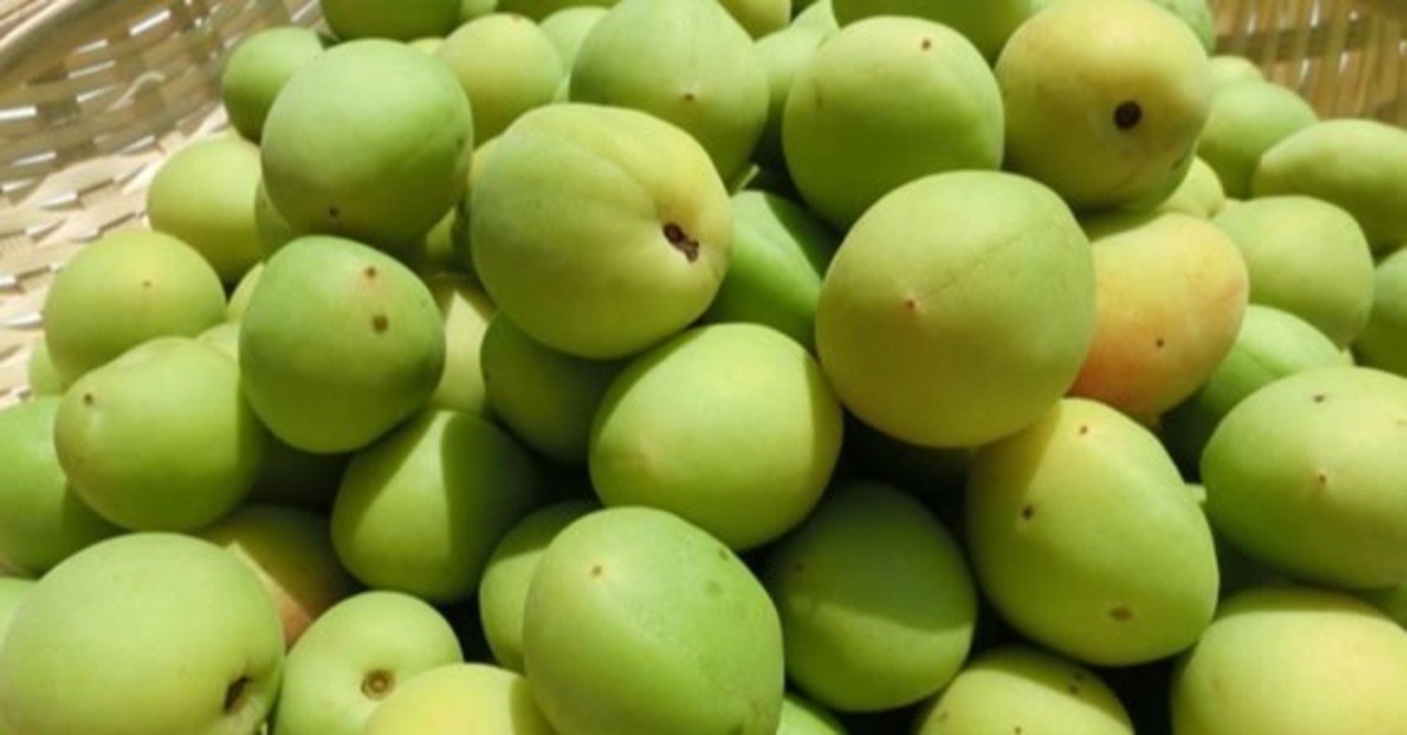 梅酒の糖質とカロリーが1秒でわかる ダイエット向き 糖質制限ダイエットshiru2 Note