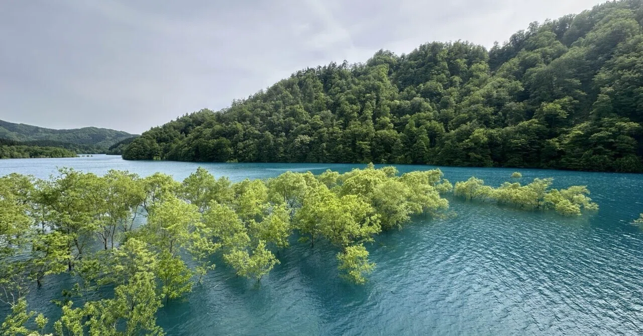 秋田探訪紀行 秋扇湖水没林〜新玉川温泉｜Ikki HORIGUCHI