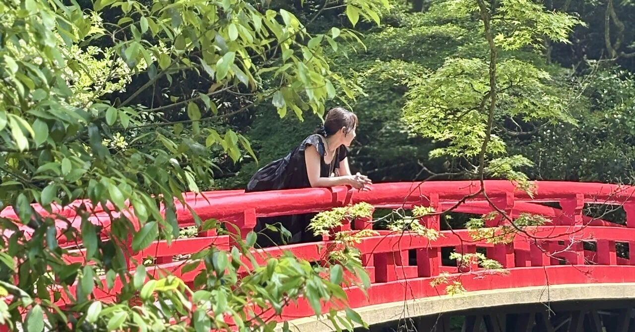 Seto de Art / Soba at Shian, from Iwayado to Takoyama Tsubaki Forest ...