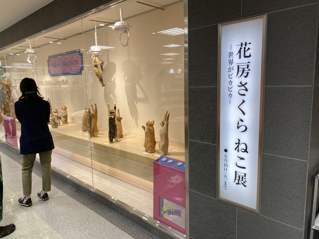 花房さくら ねこ展 シバタユウ Note