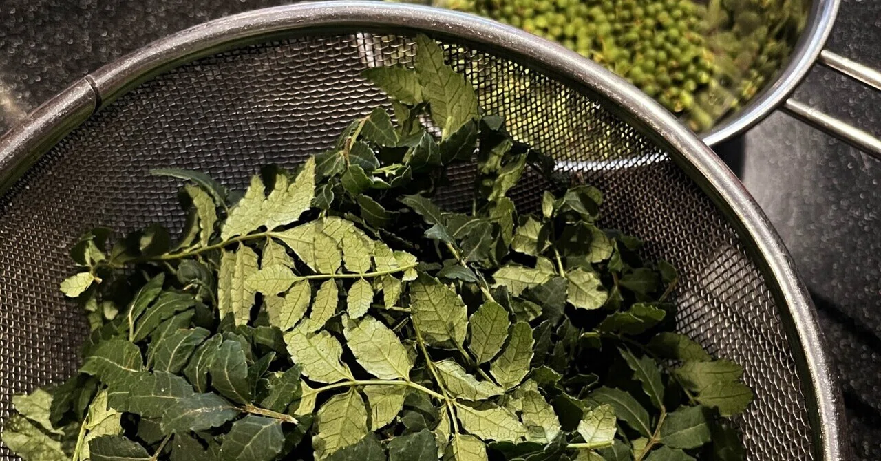 葉 山椒 保存