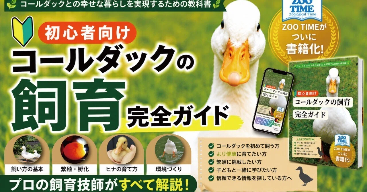 ついにZOO TIMEが出版】コールダック飼育のすべてを1冊にまとめました