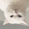 はるさめ
