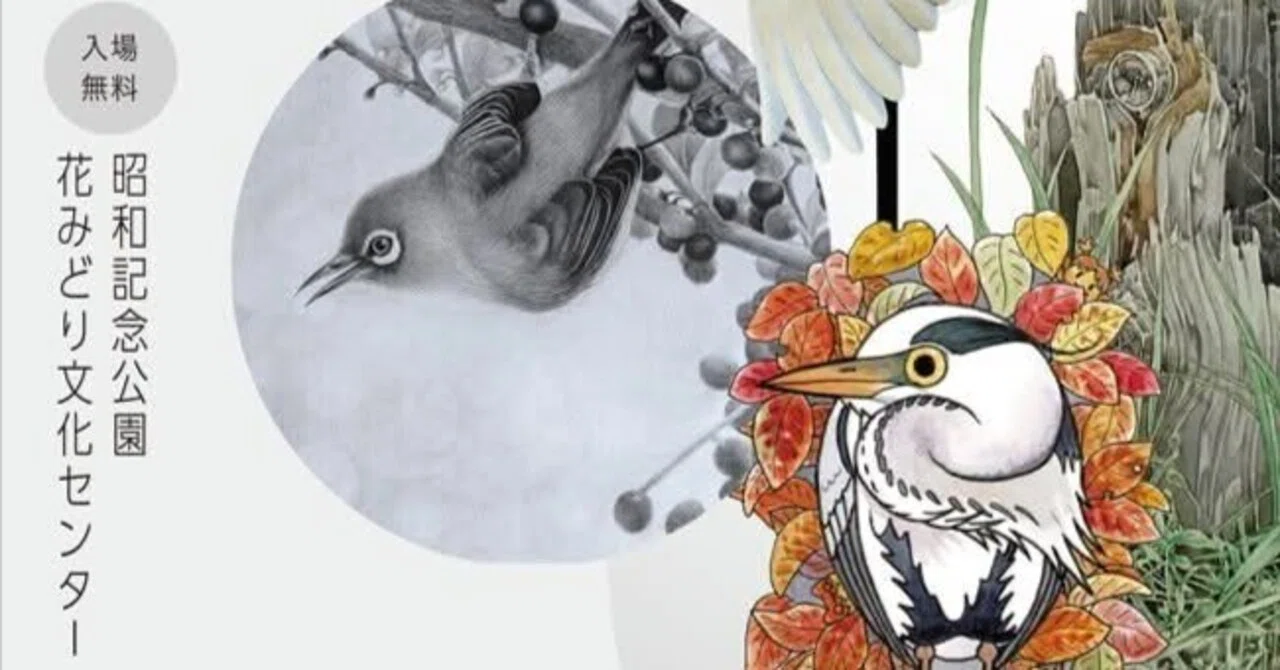 BIRD ART WEEK｜ceryle