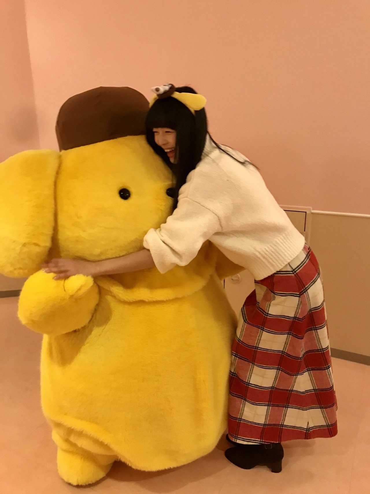 ポムポムプリン×だいふくのぬいぐるみ | 寺嶋由芙 Official Shop