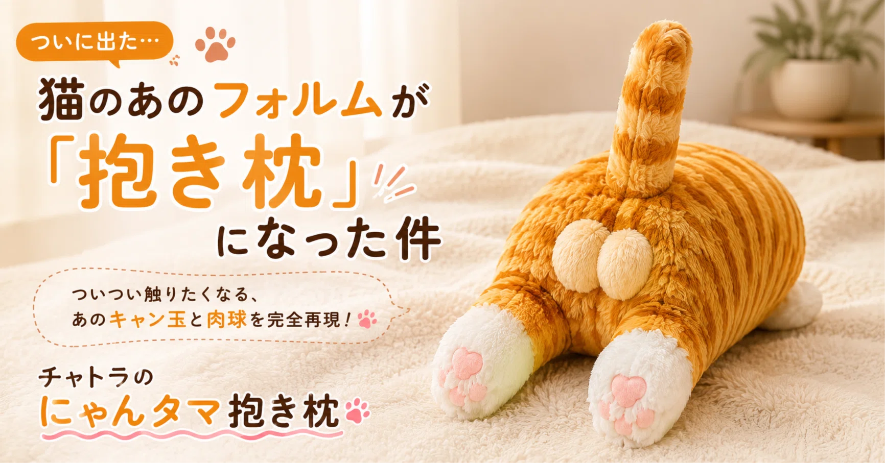きゃ ん たま