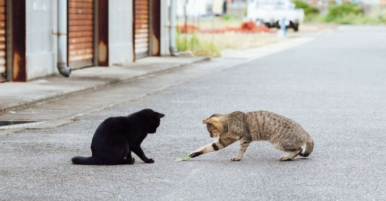 テンプレお祈りメールからは意向が探れないというお話 人事サポーターvihtaonline ヴィヒタ オンライン 全国対応ok Note