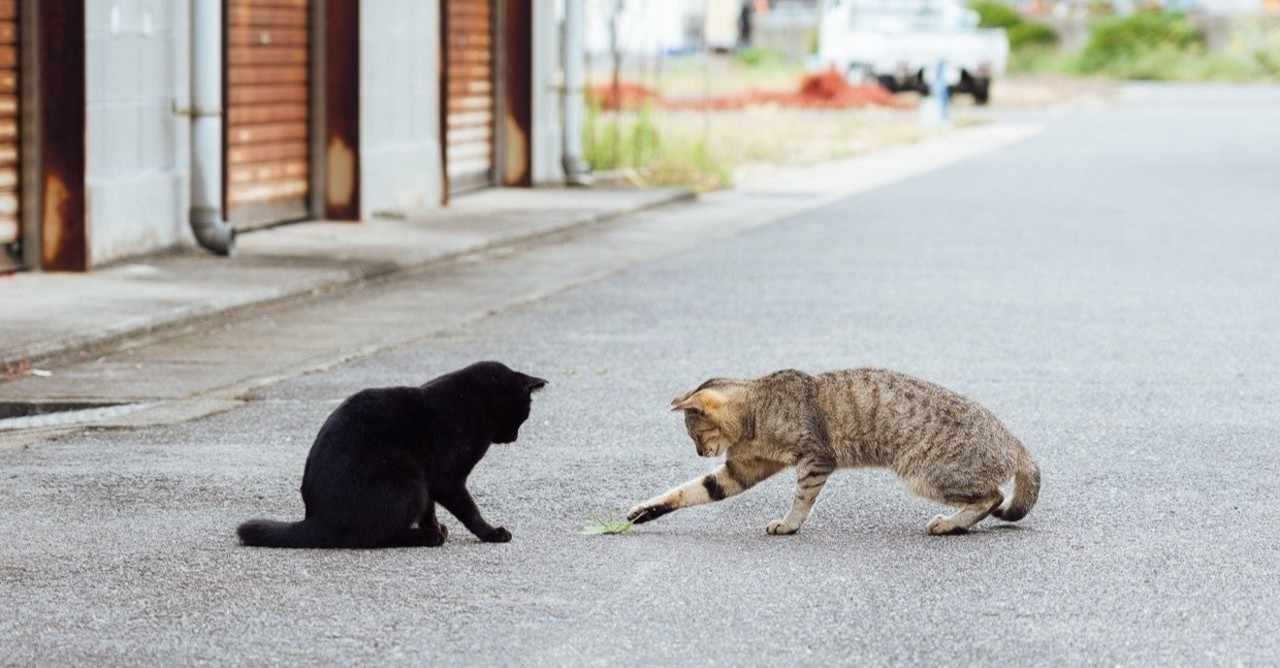 テンプレお祈りメールからは意向が探れないというお話 人事サポーターvihtaonline ヴィヒタ オンライン 全国対応ok Note