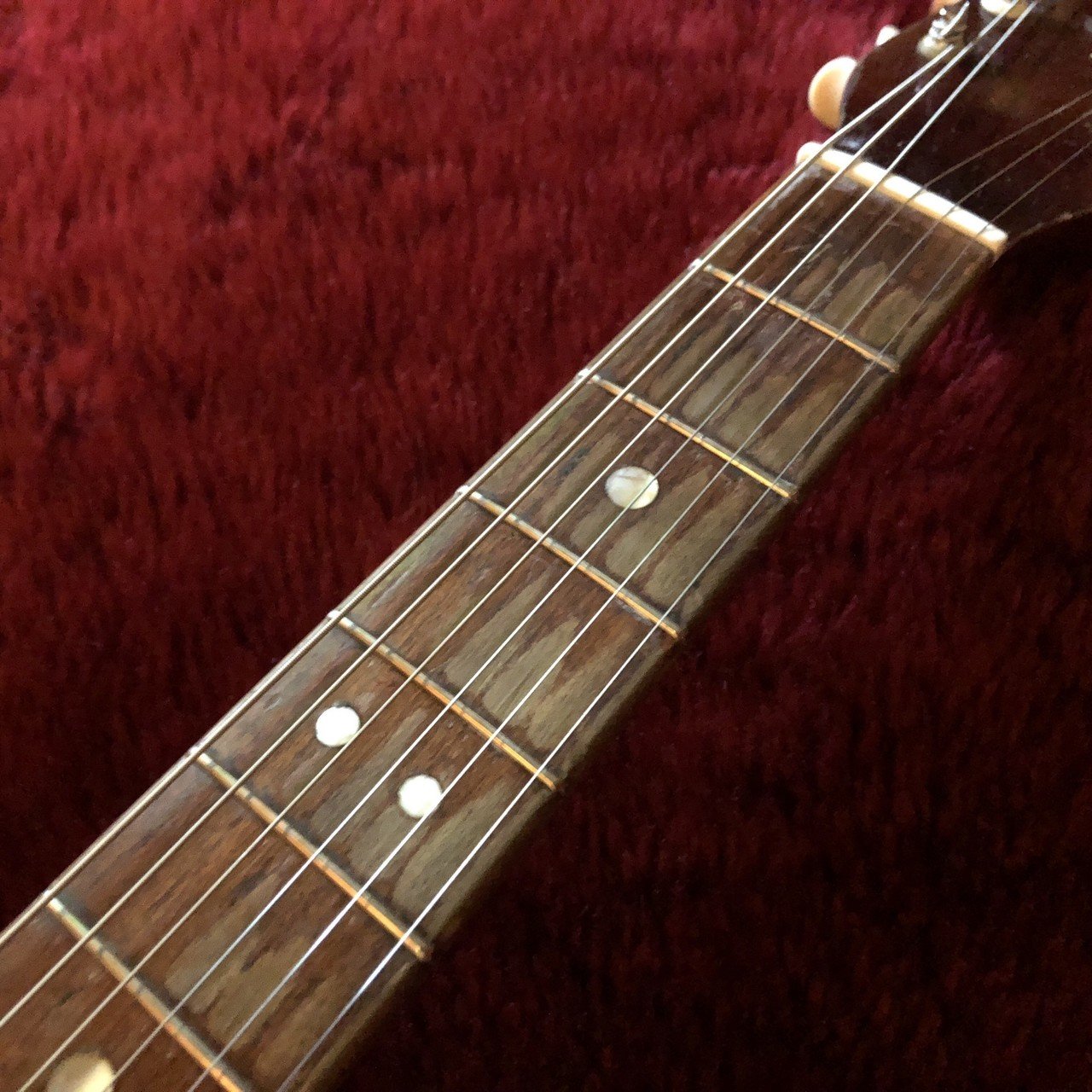 テスコ　フルアコタイプ　ビザールギター Yahoo!オークション - TEISCO model 15 フルアコ ビザールギター