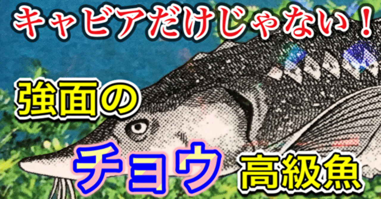 3分でわかる チョウザメ 釣り 山阿呆の大学生 Note