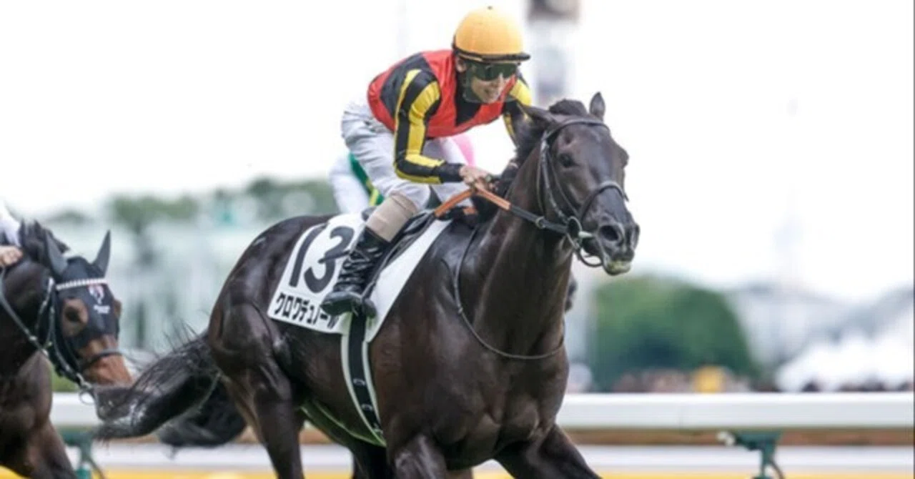 最終見解】日本ダービー(G1)｜血統の匠・UMABIJO?競馬予想ch