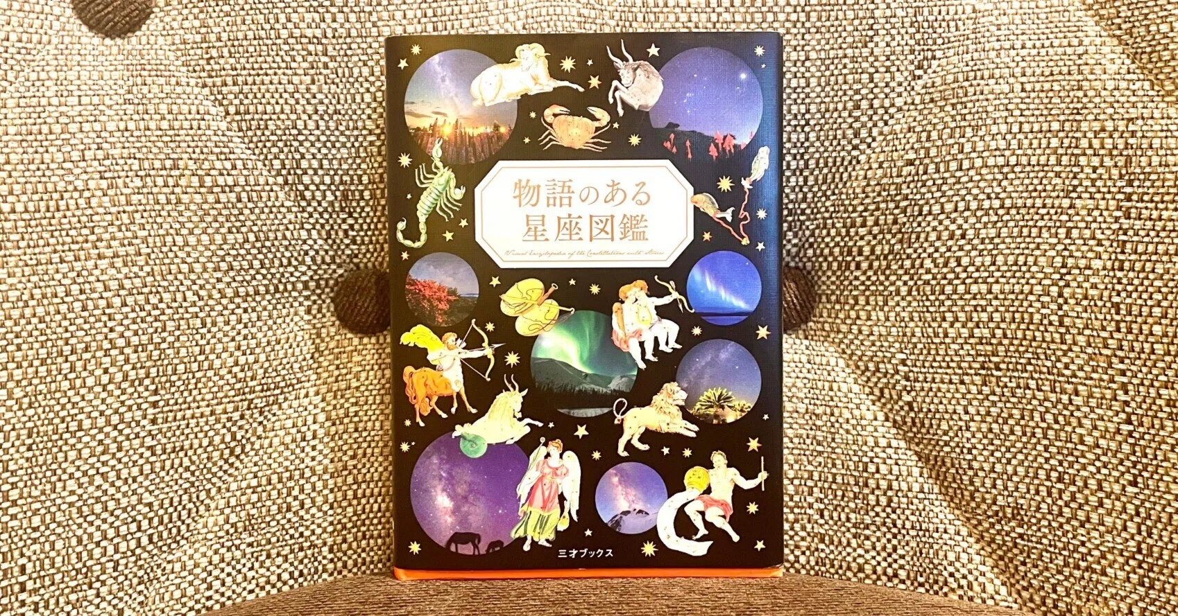 物語のある星座図鑑』の裏側｜ペズル