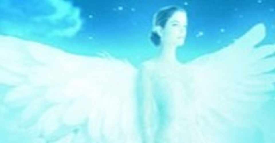 7人の自分 覚醒は7人の統合 インディゴチルドレン 超人類進化研究所 代表 Kao333 Note