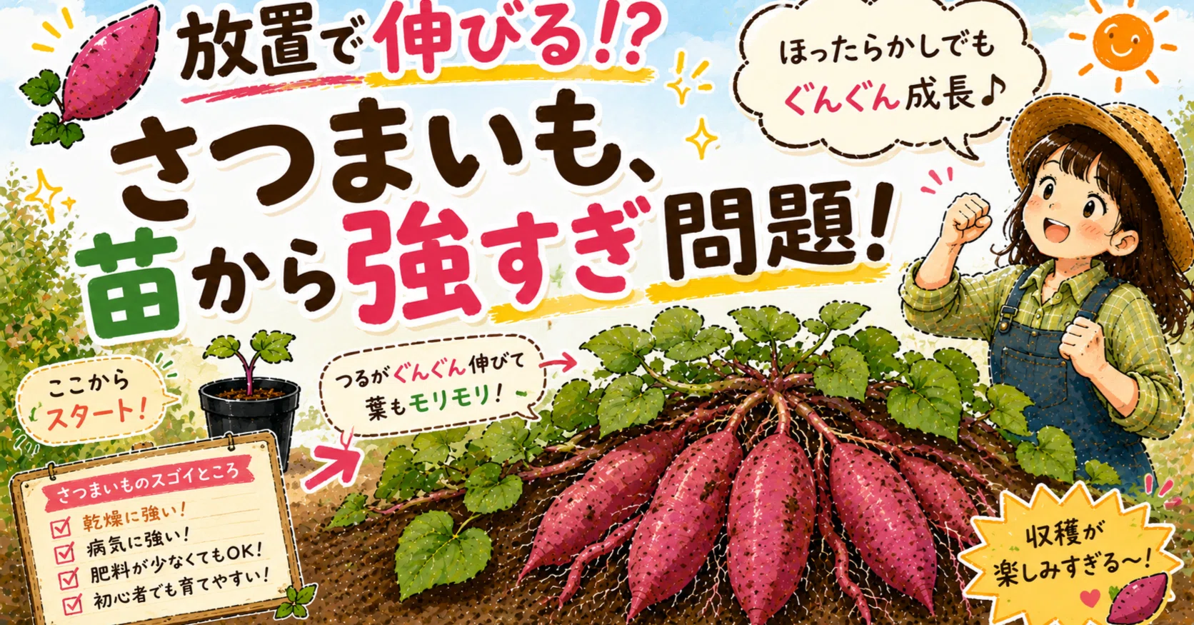 🍠 放置で伸びる!? さつまいも、苗から強すぎ問題！｜のの幸＠月1畑