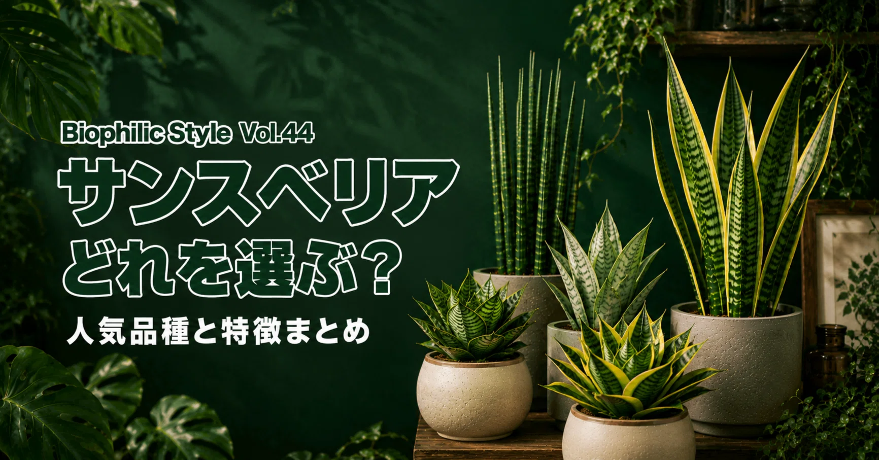 サンスベリア、どれを選ぶ？人気品種と特徴まとめ｜Biophilic Style