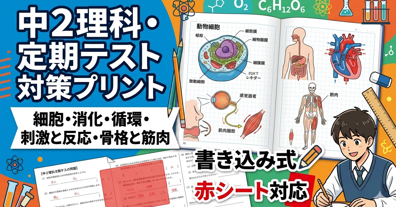 中2理科・生物分野】定期テスト対策プリント（細胞・消化・循環・刺激
