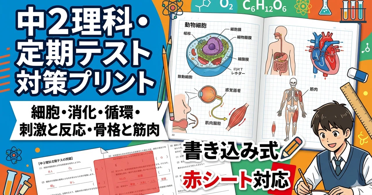 中2理科・生物分野】定期テスト対策プリント（細胞・消化・循環・刺激