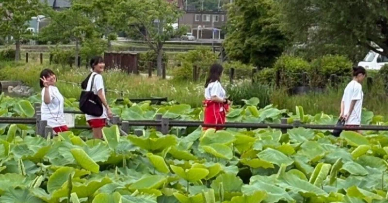 😸【貴志川高校】１年生「総合的な探究の時間」 平池緑地公園で見つけた「地域の魅力」と生徒の声