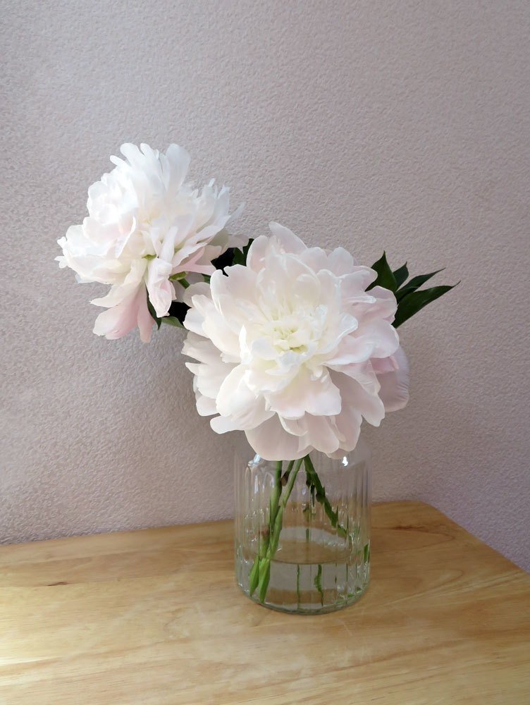 薄ピンクの芍薬をリューズガラス花瓶に 花と日々 Yas Note