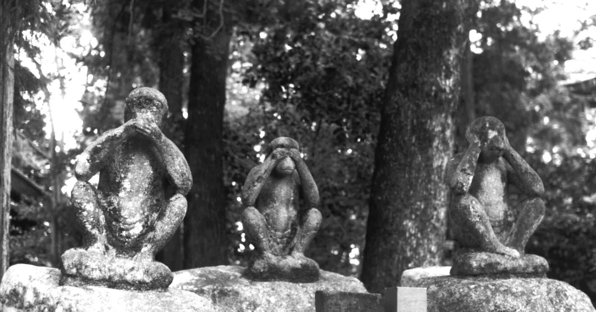 Nikon F2 ◑ Ai NIKKOR 35mm F2.0｜いつかどこかで