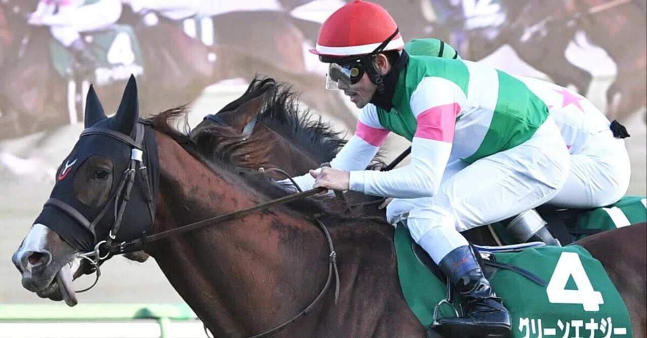 競走馬血統白書 ダービー出走馬血統診断⑥ グリーンエナジー｜西村教範