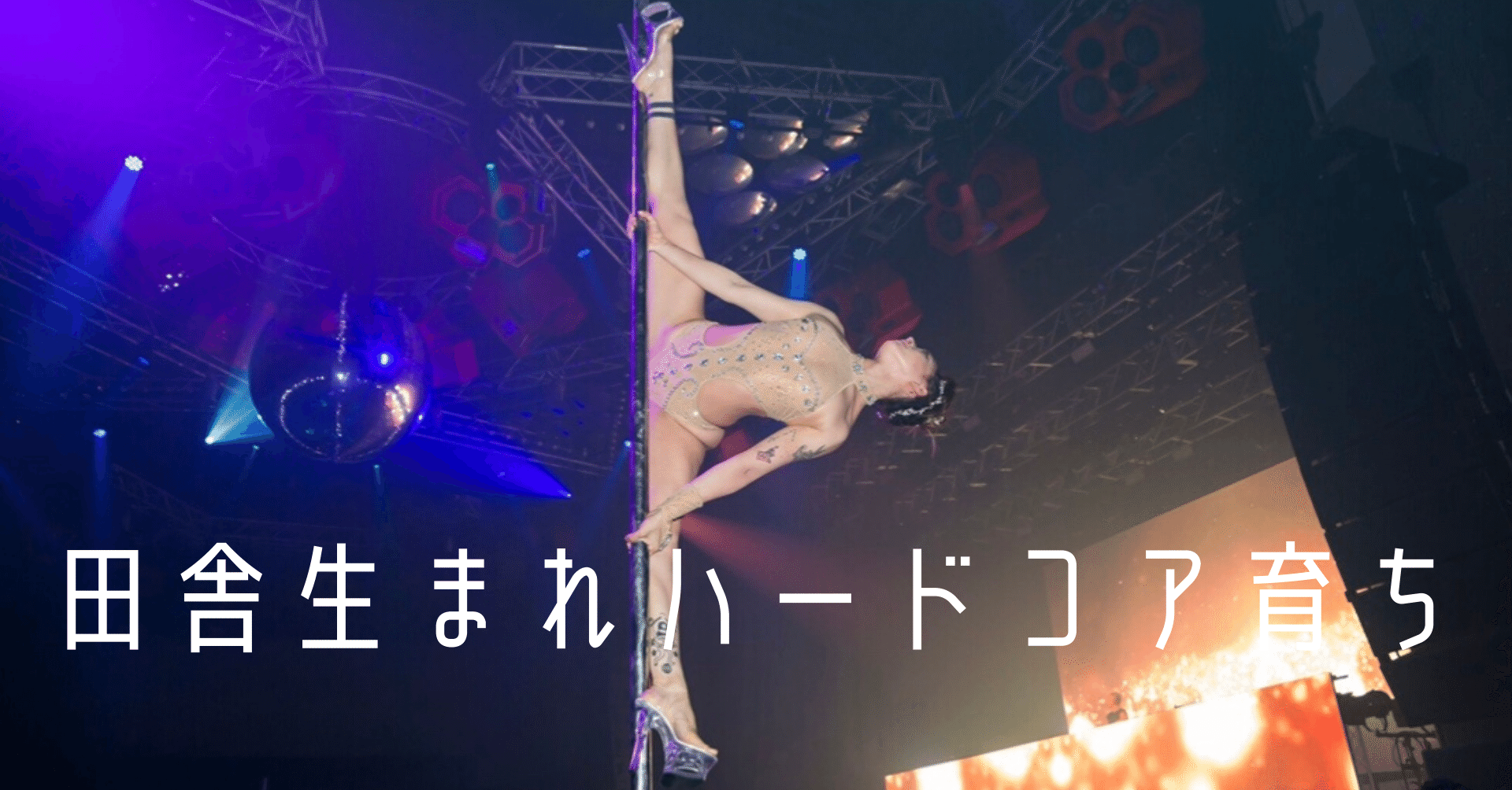 で るしこっていったい何者なわけ ポールダンスは速攻で全身痩せ 編 Lucyco Note