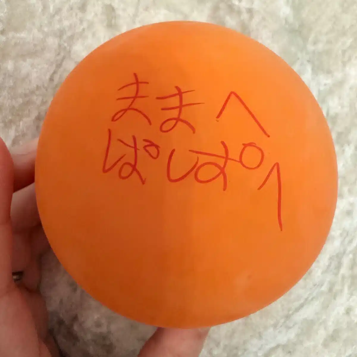 まほ｜息子観察日記