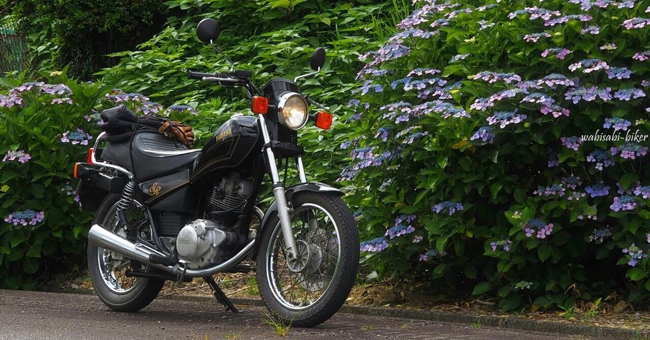 10年以上の紫陽花とバイク写真｜見返して動いた、説明できない感情