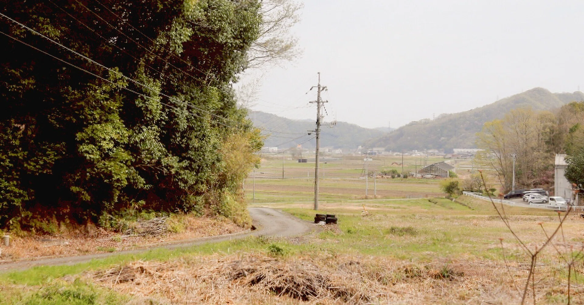 なんでもない景色が、なぜか気になる｜三原市地域おこし協力隊 日髙麻弥