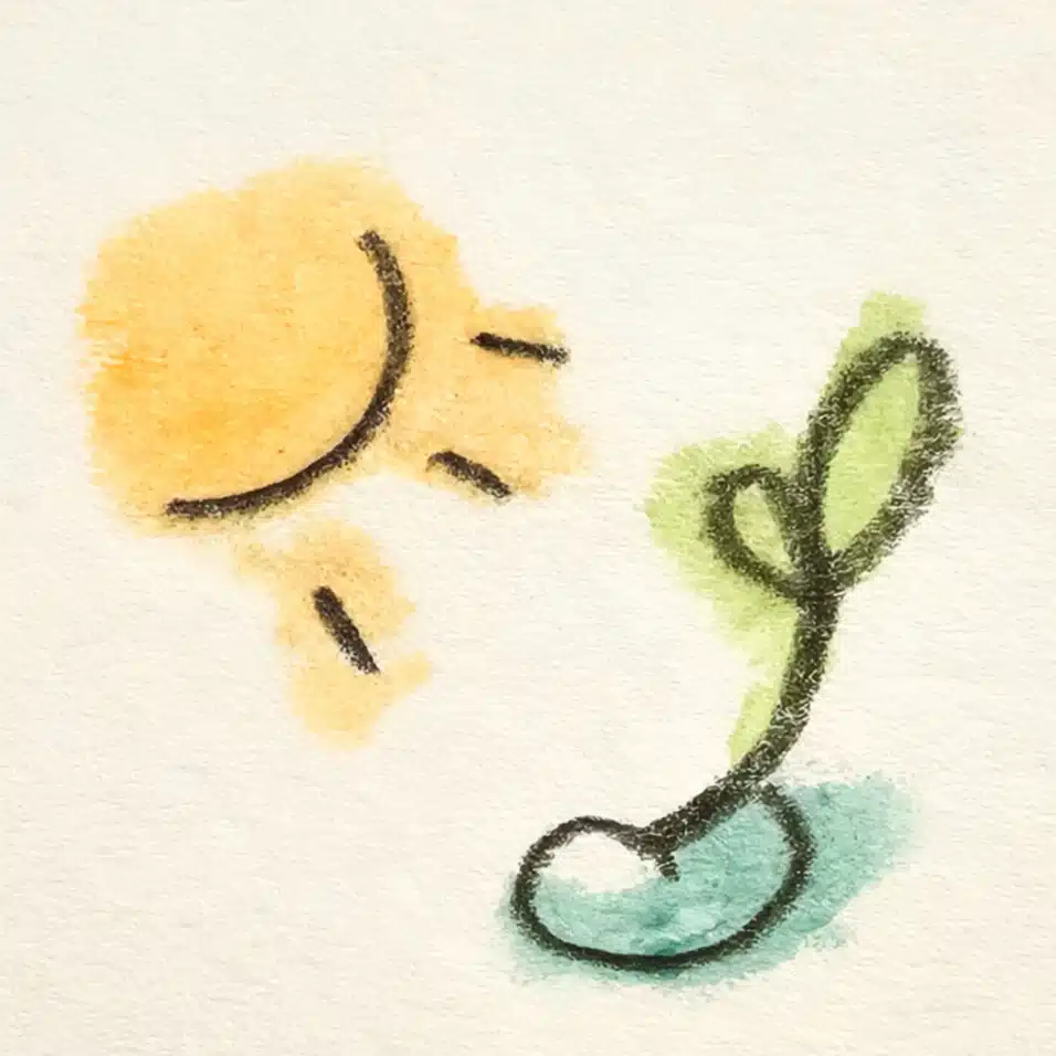 まめびより🌱