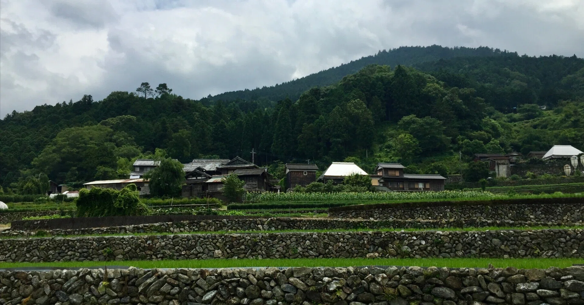 BIO+FORM考 自然と建築の幸せな関係 『関係性をデザインする住環境 