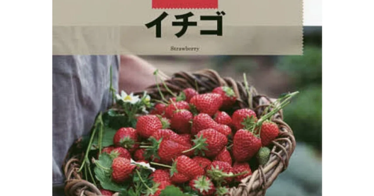 Strawberry Home Gardening Bible｜panpakapan