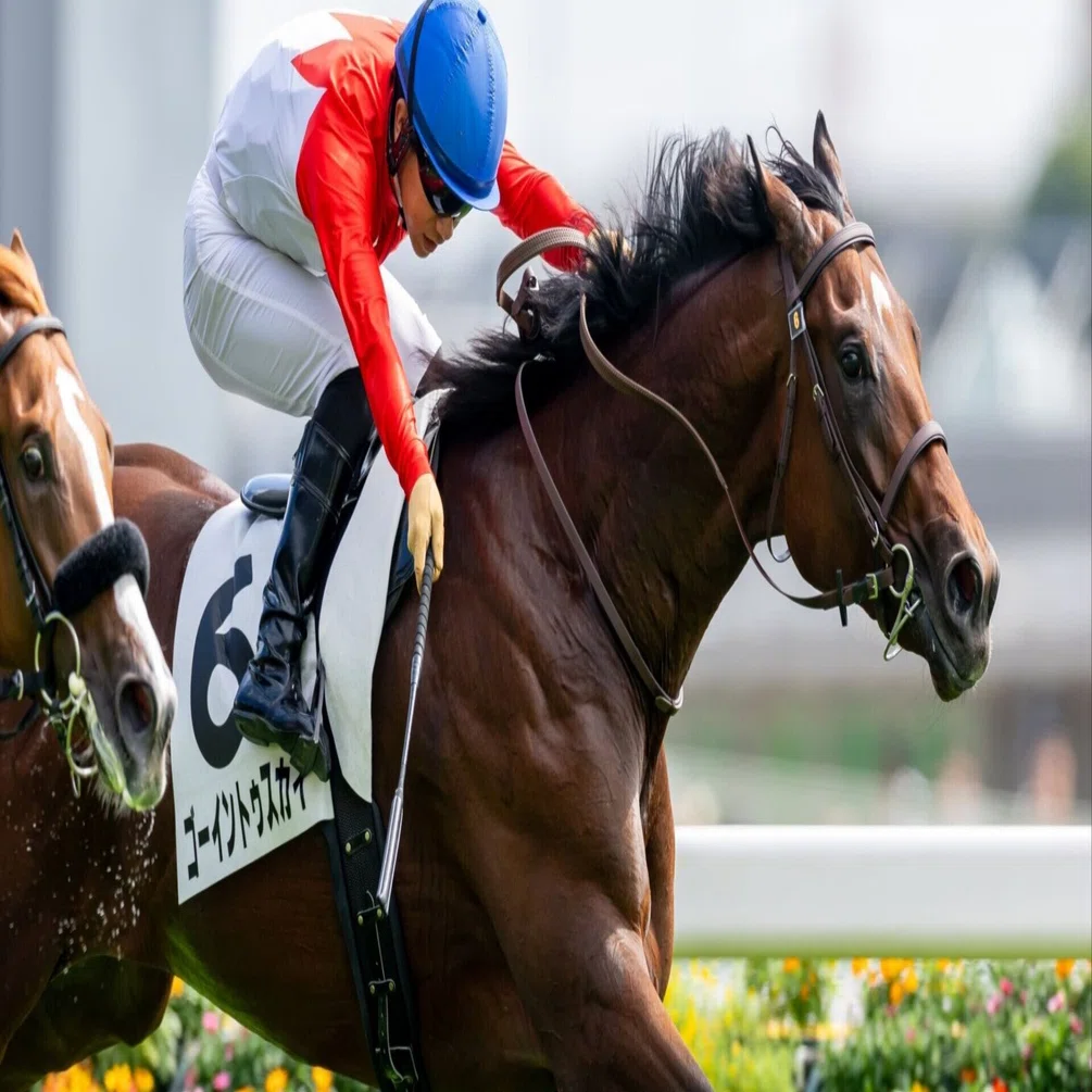競走馬血統白書 ダービー出走馬血統診断⑦ ゴーイントゥザスカイ｜西村教範