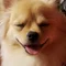 ほたる