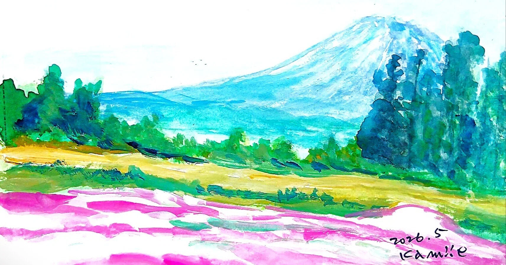 三島さんちの芝ざくら(倶知安町)｜北海道の熊おやじ〜北海道の179