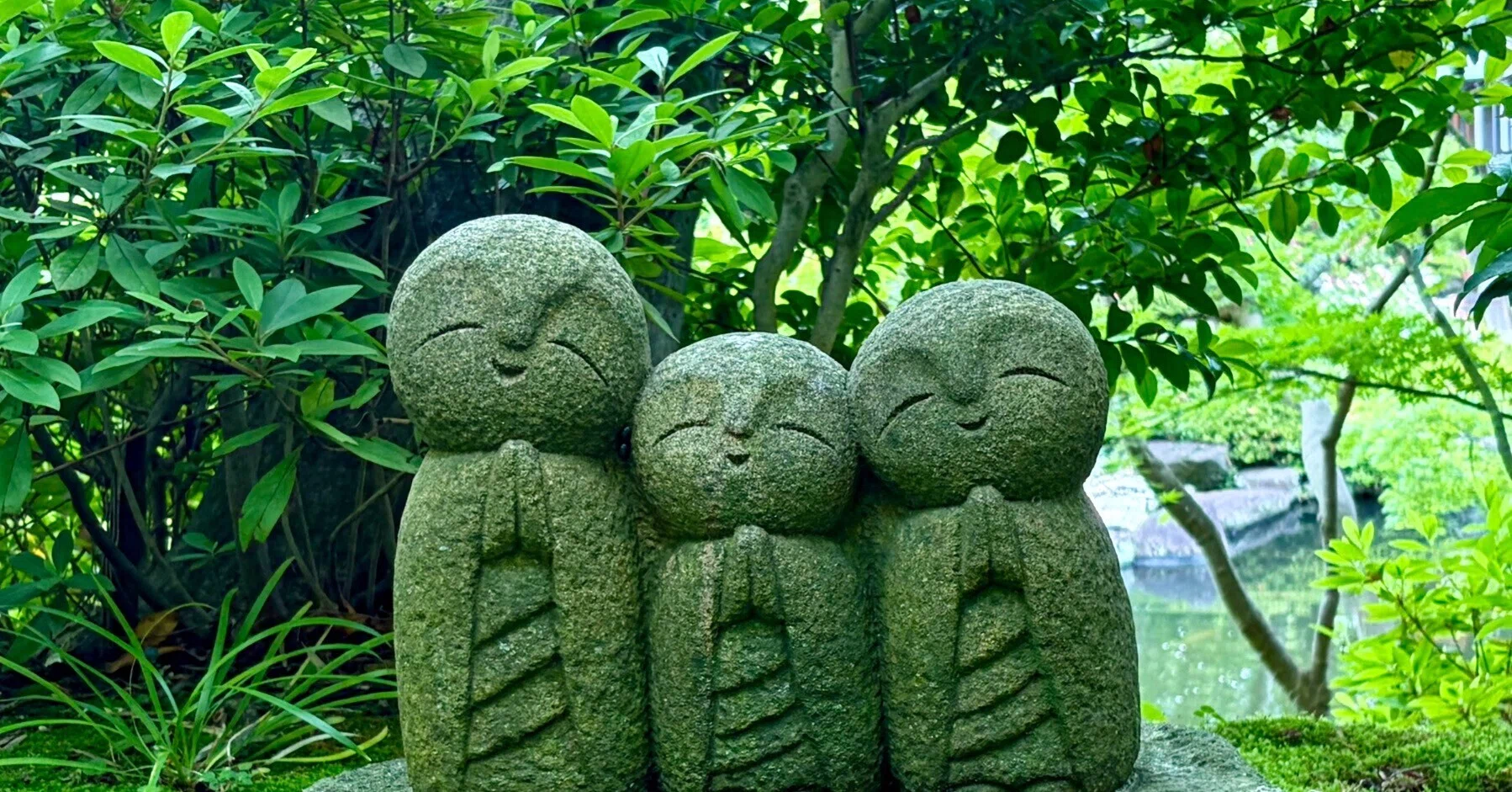 鎌倉長谷寺、少し早い紫陽花とお地蔵さま｜shouko