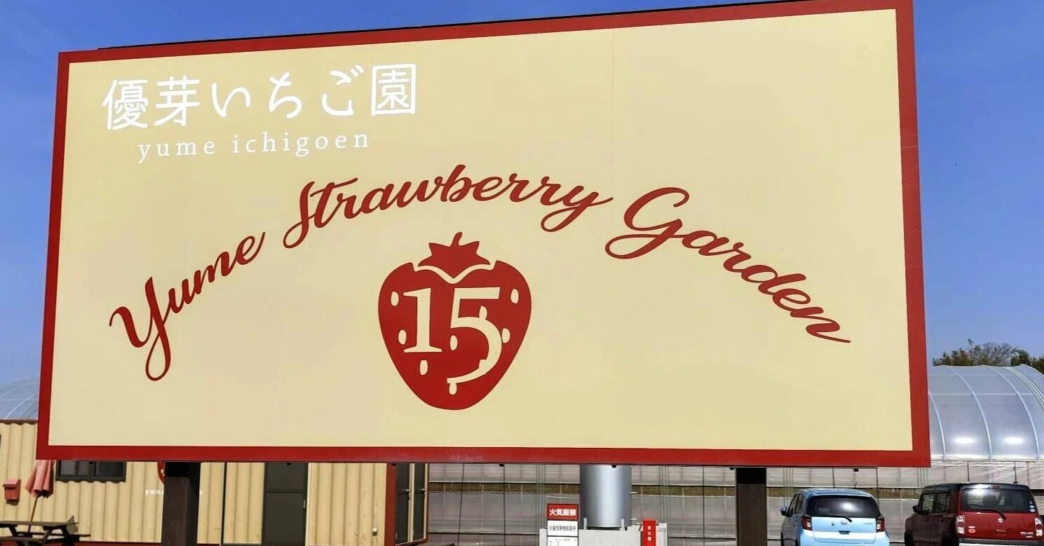 農業×IT】Strawberry AI、畑で共同実験 — 優芽いちご園さんで見えた