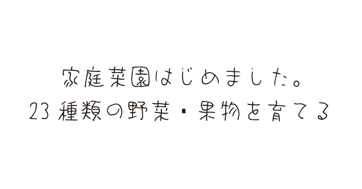 見出し画像