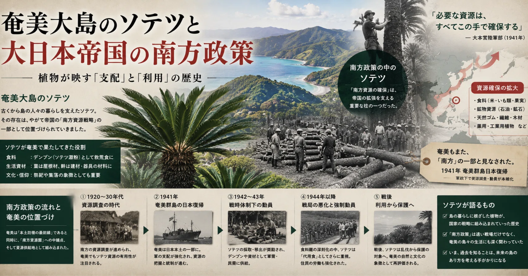 ソテツから見る日本史｜大橋淳史
