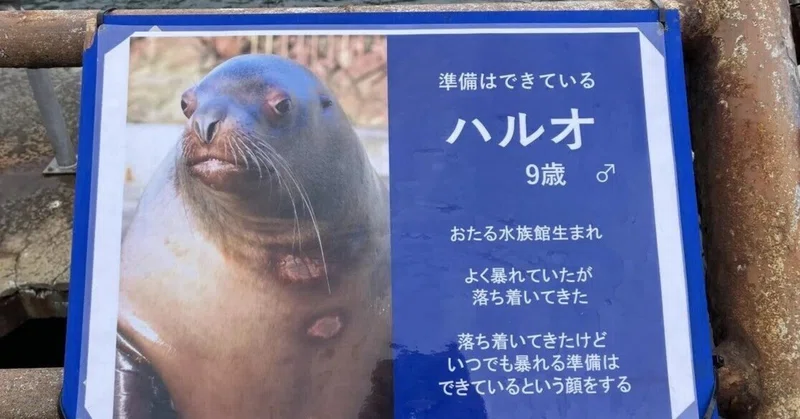 日本ダービー