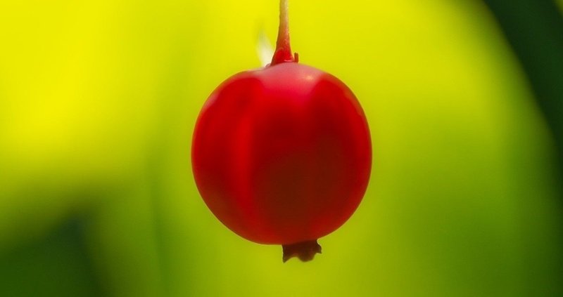 ロッキーの撮影じゃないのよ の新着タグ記事一覧 Note つくる つながる とどける