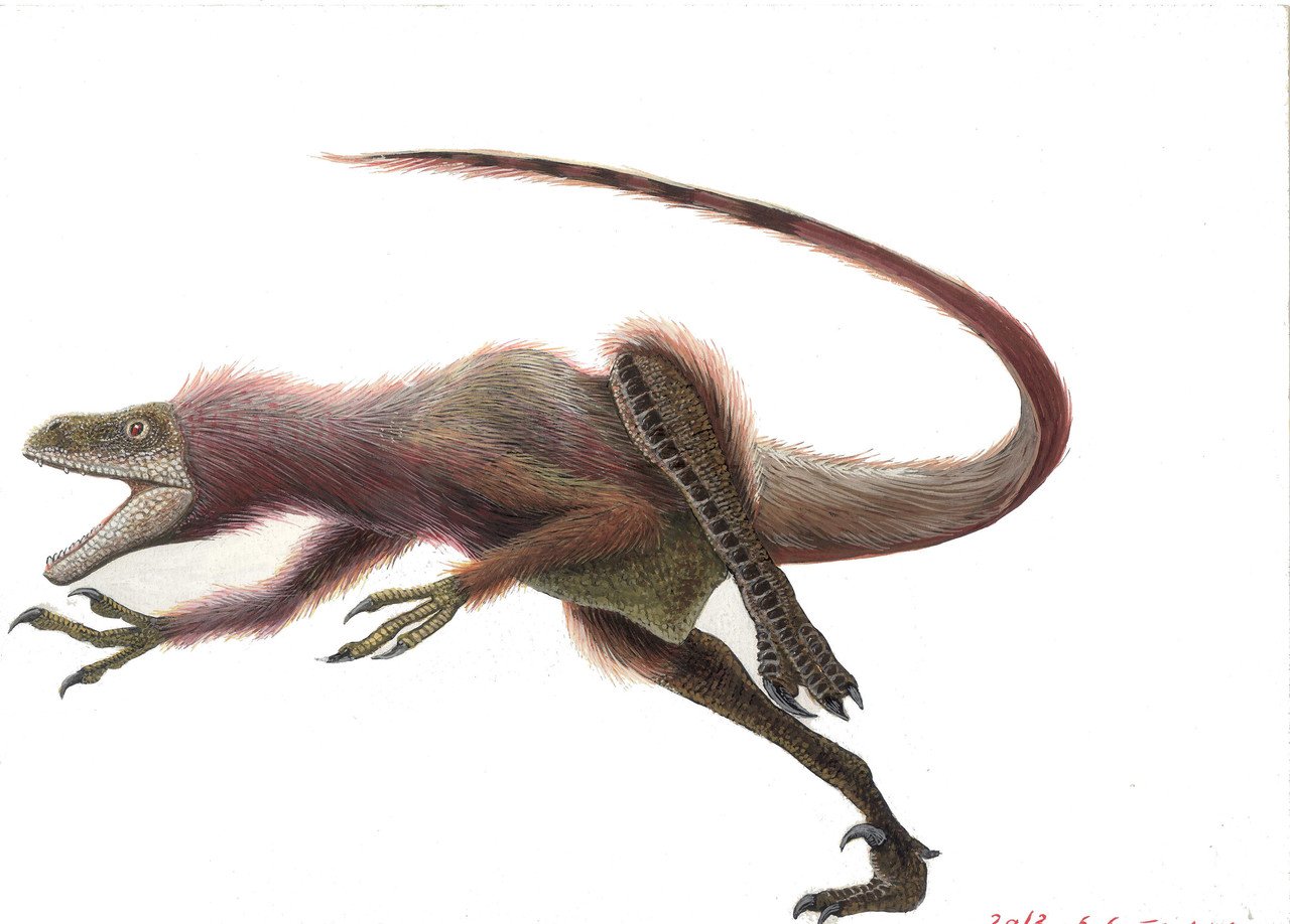 アナログ 古生物イラストレーション Junya0103 Note