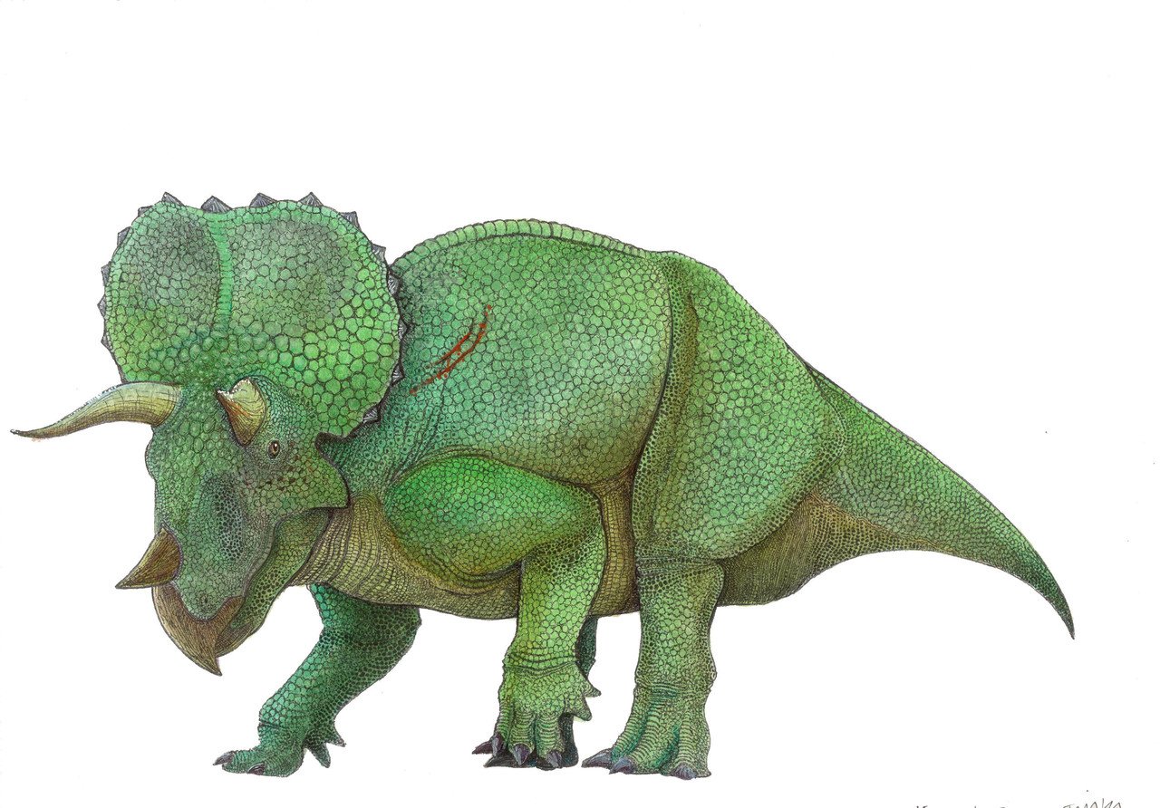 アナログ 古生物イラストレーション Junya0103 Note