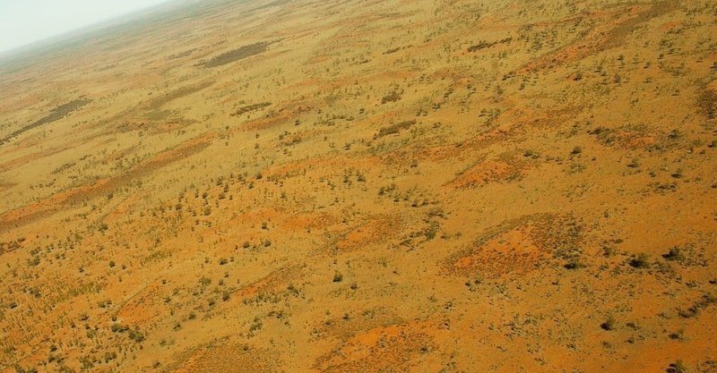 今日の表現6 13 マインドフルネス英語 努めて豊かになるcultivate みほっち Note