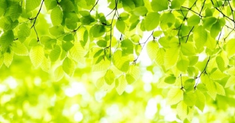 初夏の試練 体温調節 なつまま フリーランス看護師 万pv感謝 Note 初夏の試練 体温調節 なつまま フリーランス看護師 万pv感謝 Note