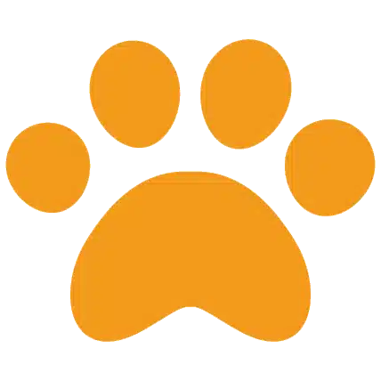 little tail｜note Blog