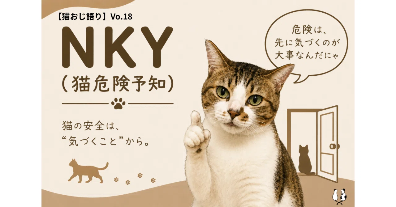 猫おじ語り】Vo.18（全文無料）NKY（猫危険予知）｜共生提案型保護猫