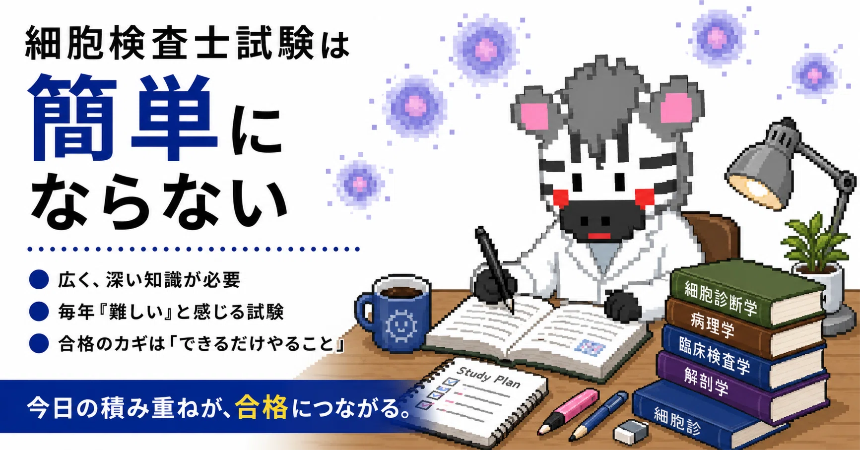 細胞検査士試験は簡単にならない｜どっとぜぶら